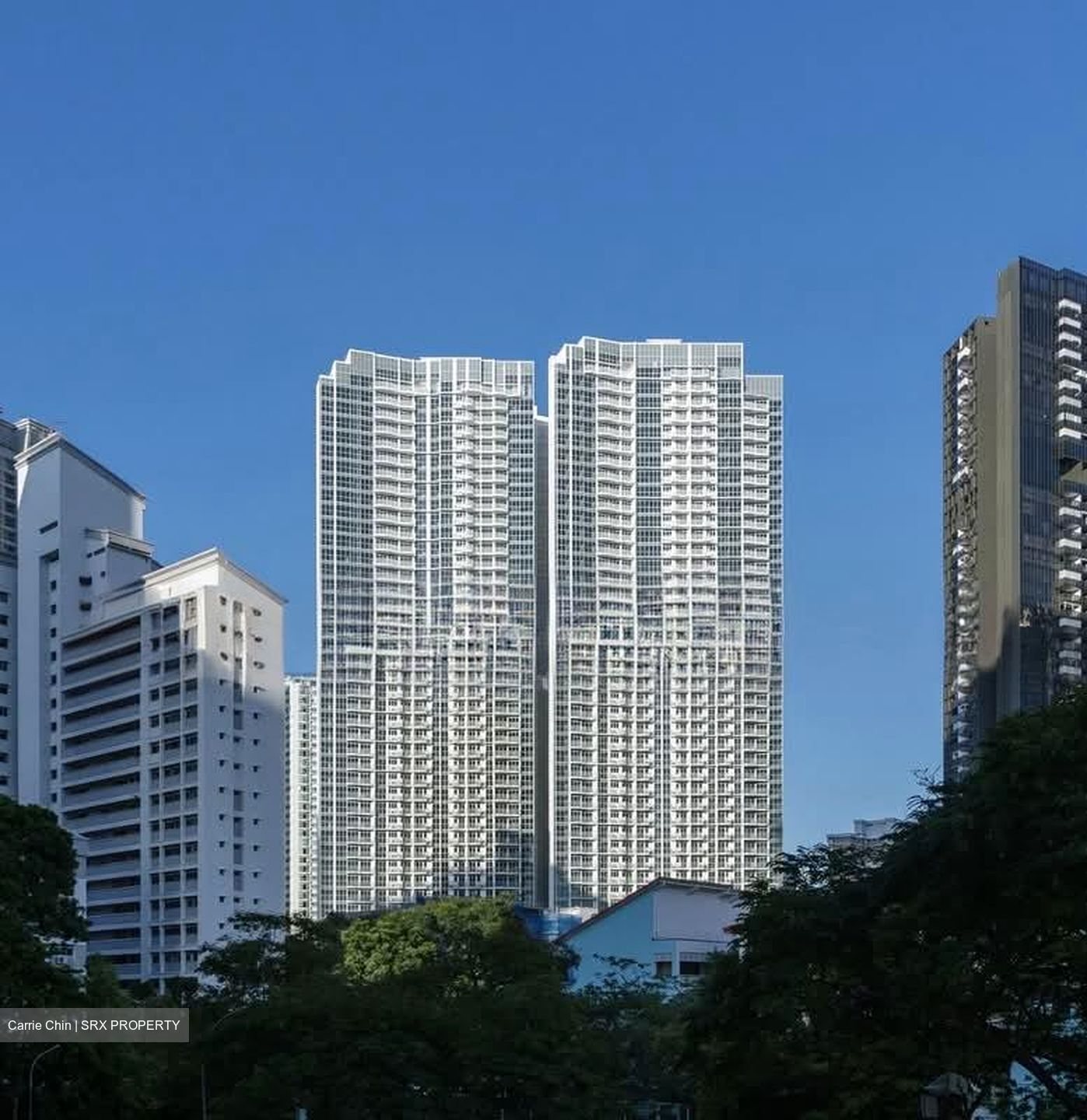 Queens Peak (D3), Condominium #549014321